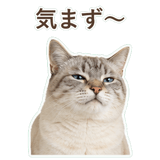 852351720