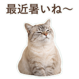 852351726