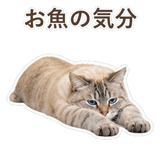 852351727