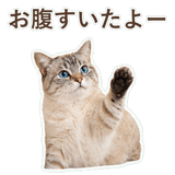 852351728