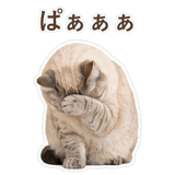 852351730