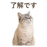 852351731