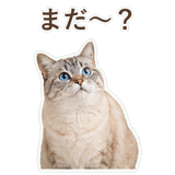 852351732