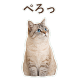 852351733