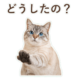 852351734