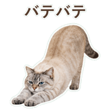 852351735
