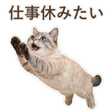 852351738