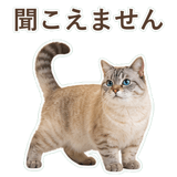 852351739
