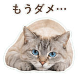 852351740
