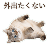 852351743