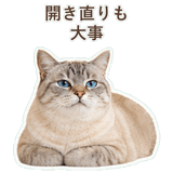 852351744