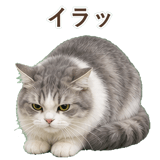852351746