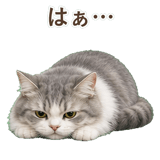 852351754