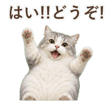 852351757