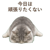 852351758