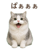852351770
