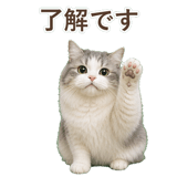 852351771