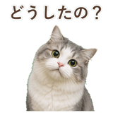 852351774