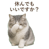 852351781