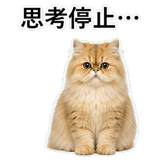 852351786