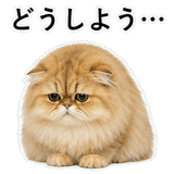 852351791