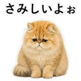 852351805