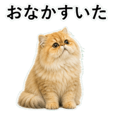 852351807