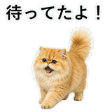 852351808