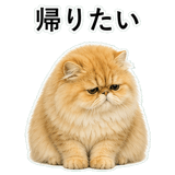 852351809