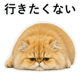 852351810