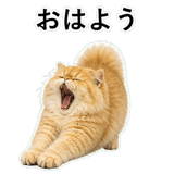 852351812