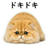 852351818
