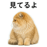 852351820