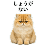 852351821