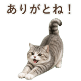 852351969