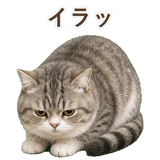 852351970