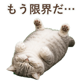 852351973