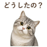 852351998