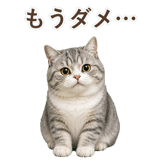 852352004