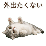 852352007