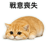 852352091