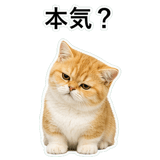 852352097