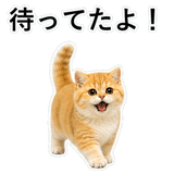 852352112
