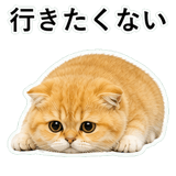 852352114