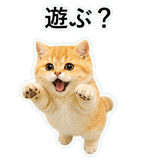852352121