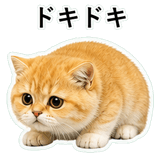 852352122