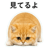 852352124