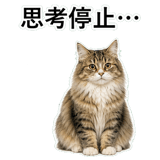 852352130
