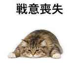 852352131