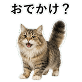 852352141